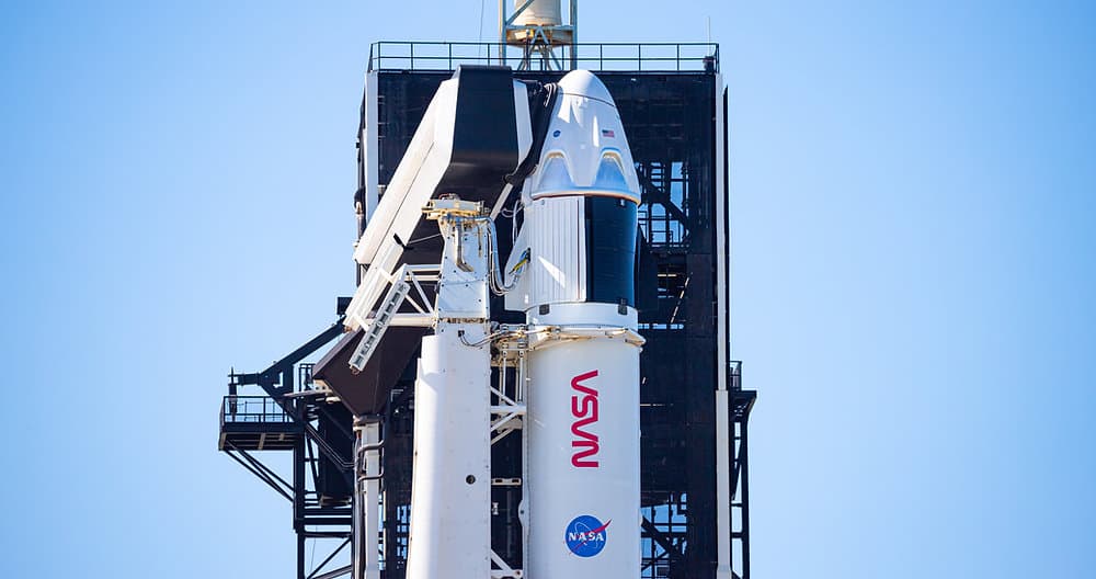 2020, Year in Review