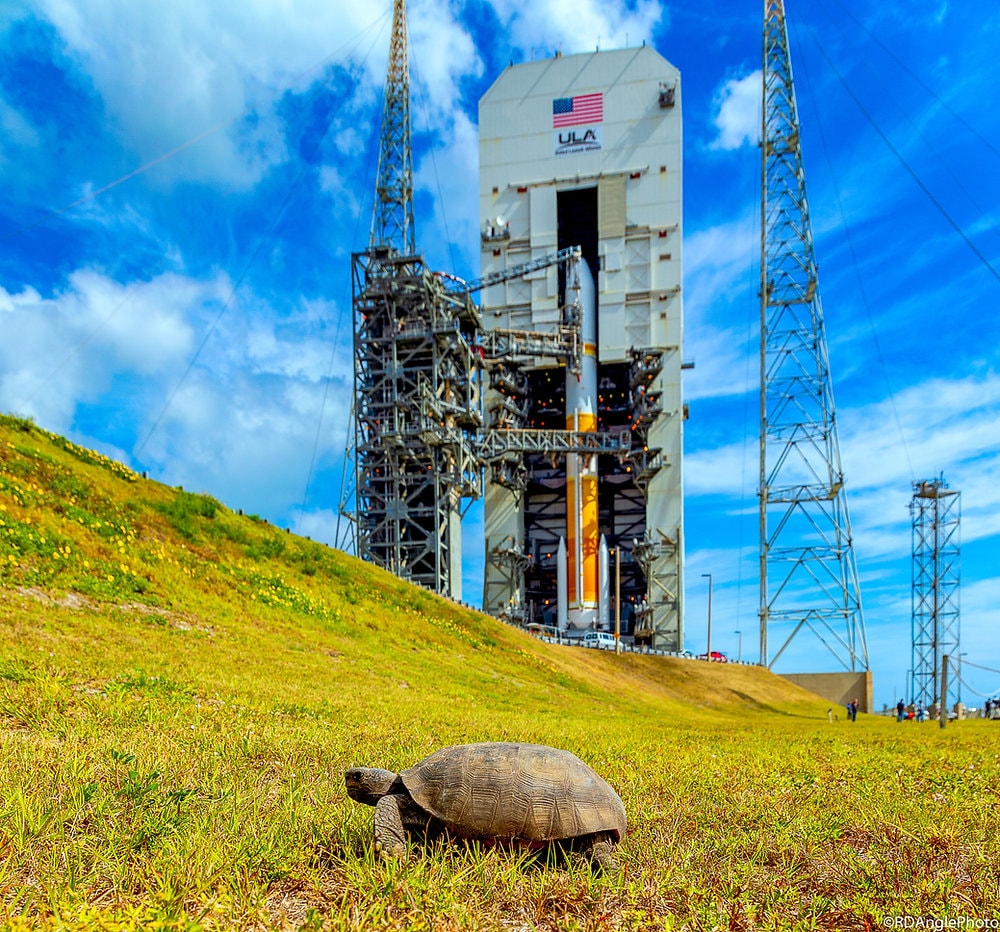 ULA's Delta IV rocket ready to launch the WGS-11 satellite